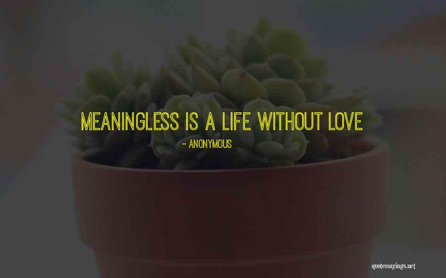 A Meaningless Life Quotes By Anonymous