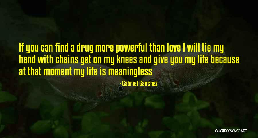 A Meaningless Life Quotes By Gabriel Sanchez