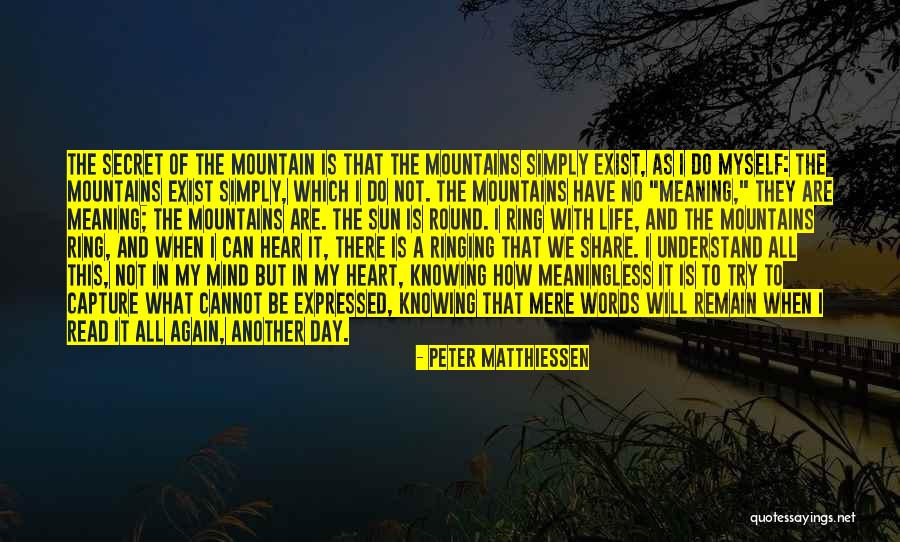 A Meaningless Life Quotes By Peter Matthiessen