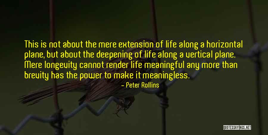 A Meaningless Life Quotes By Peter Rollins