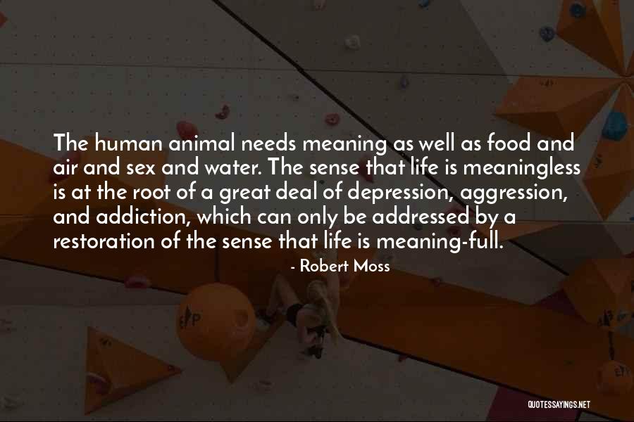 A Meaningless Life Quotes By Robert Moss