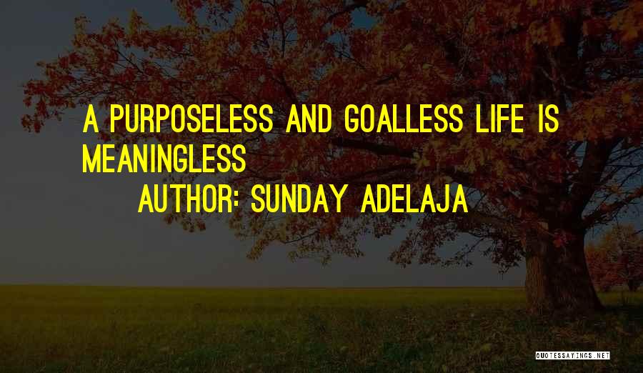 A Meaningless Life Quotes By Sunday Adelaja