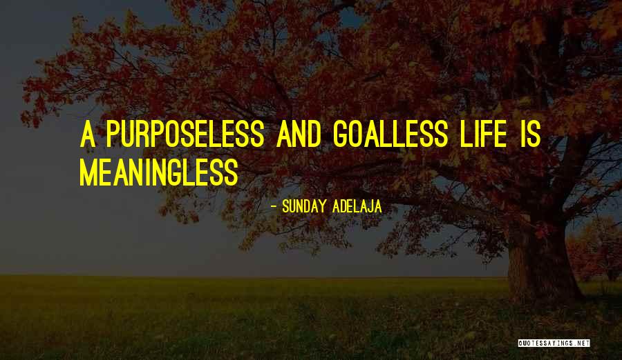 A Meaningless Life Quotes By Sunday Adelaja