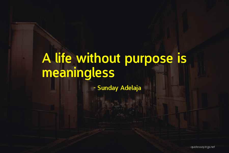 A Meaningless Life Quotes By Sunday Adelaja