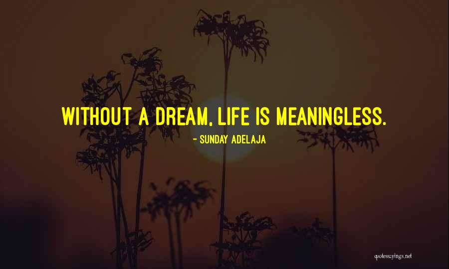 A Meaningless Life Quotes By Sunday Adelaja