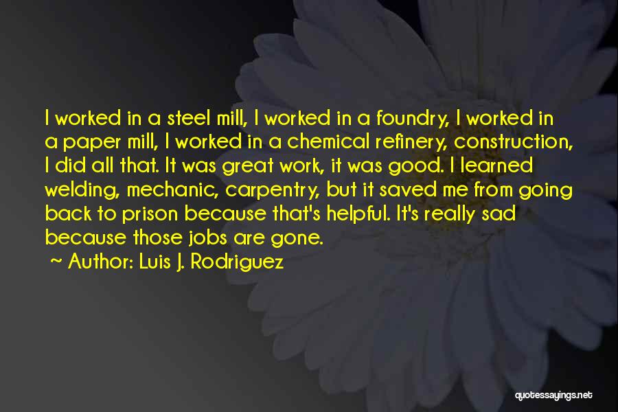 A Mechanic Quotes By Luis J. Rodriguez