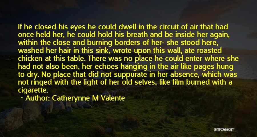 A Memory Of Light Quotes By Catherynne M Valente