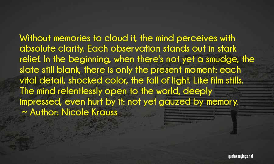 A Memory Of Light Quotes By Nicole Krauss