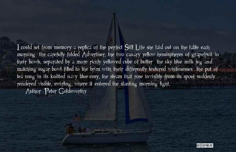 A Memory Of Light Quotes By Peter Goldsworthy