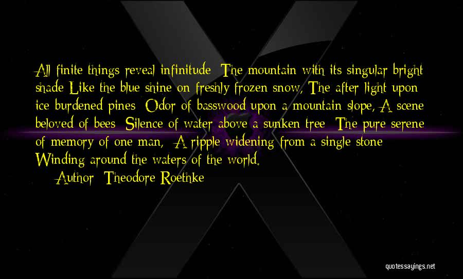 A Memory Of Light Quotes By Theodore Roethke