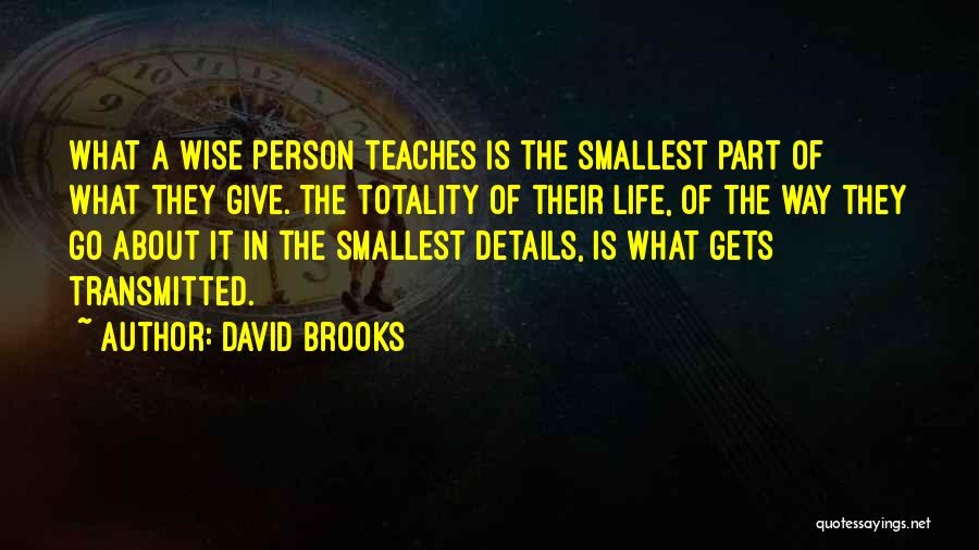 A Mentor Quotes By David Brooks