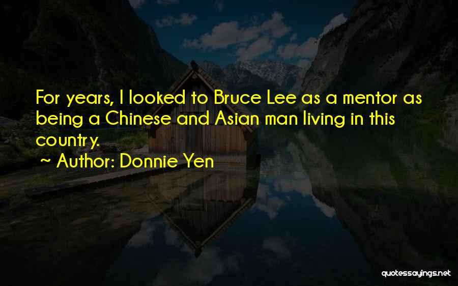 A Mentor Quotes By Donnie Yen