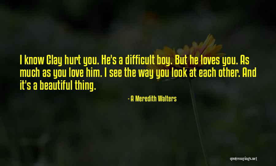 A Meredith Walters Quotes 2187767