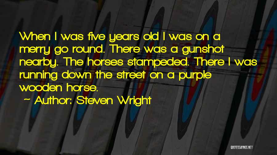 A Merry Go Round Quotes By Steven Wright