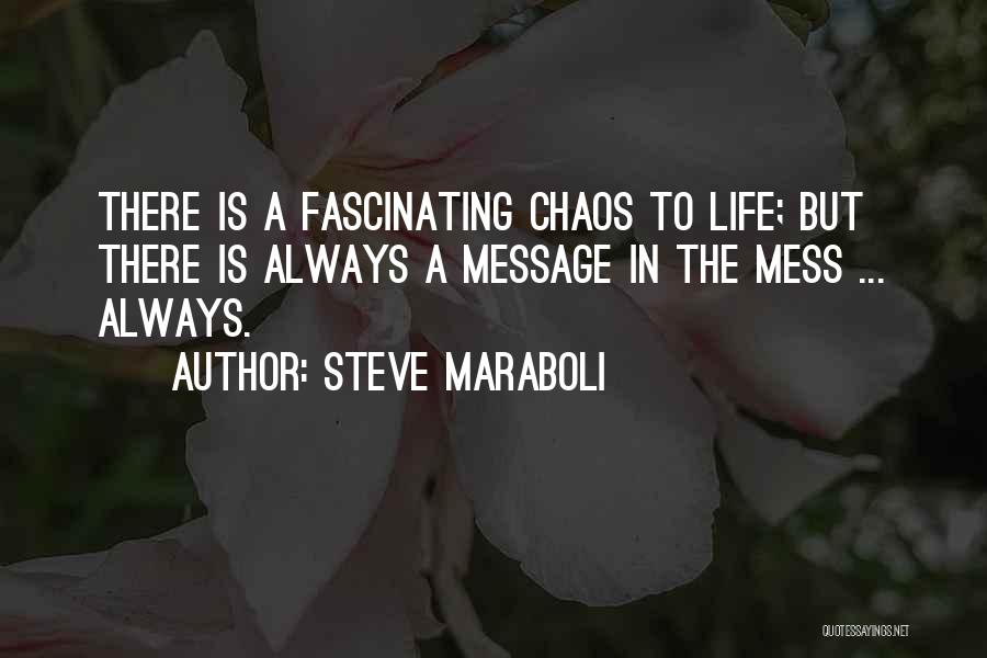 A Mess Quotes By Steve Maraboli