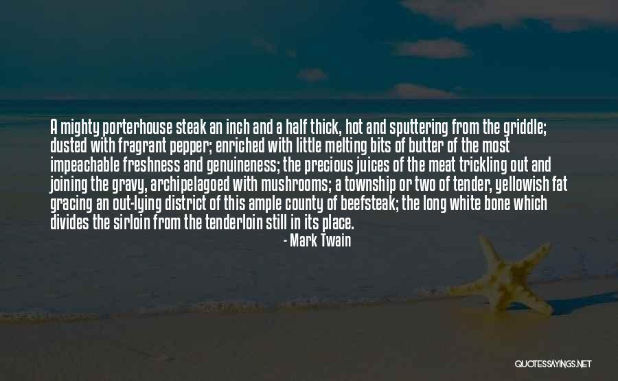 A Mighty Long Way Quotes By Mark Twain A Mighty Long Way Quotes By Mark Twain