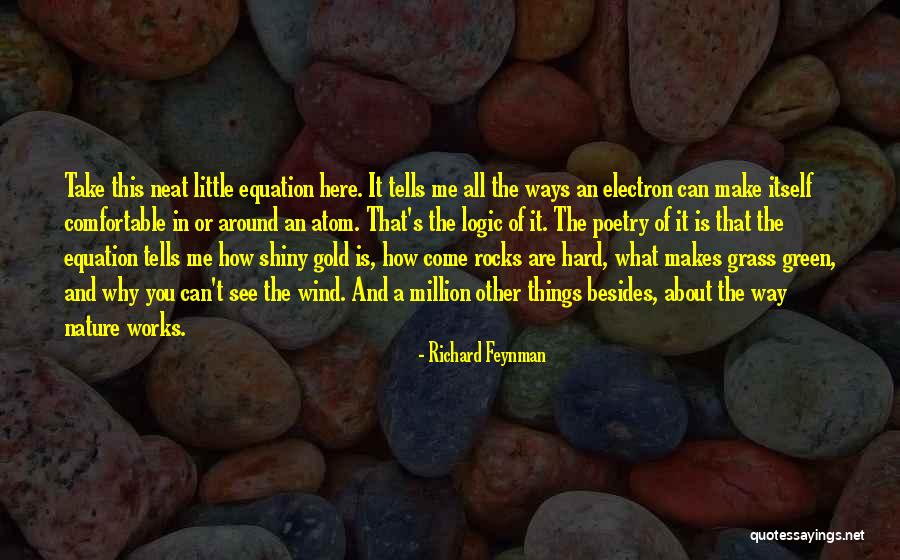 A Million Little Things Quotes By Richard Feynman A Million Little Things Quotes By Richard Feynman