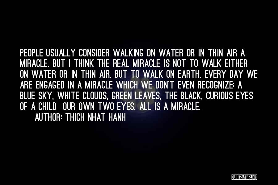 A Miracle Child Quotes By Thich Nhat Hanh