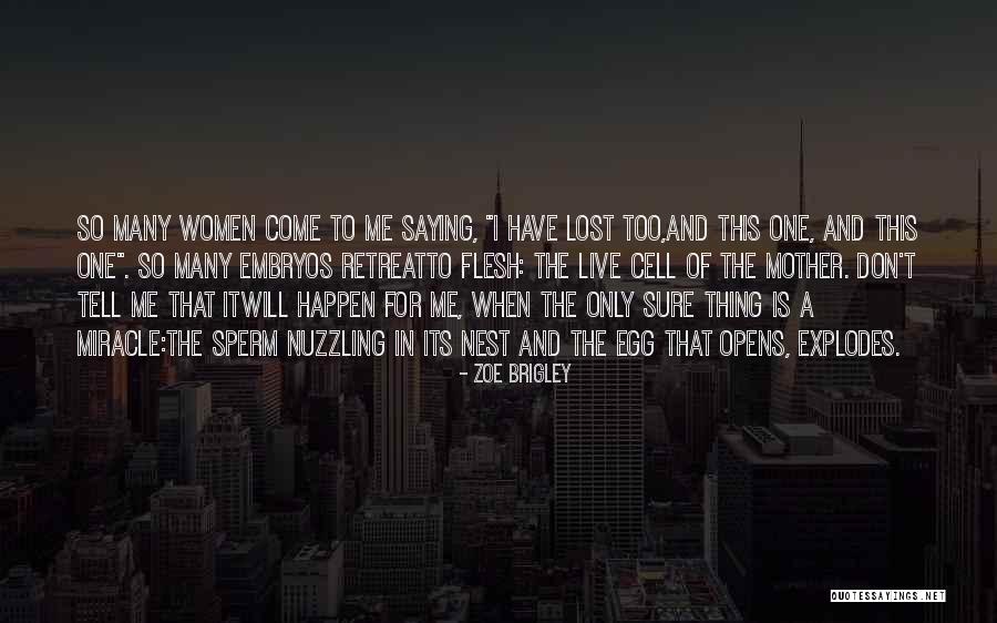 A Miscarriage Quotes By Zoe Brigley A Miscarriage Quotes By Zoe Brigley