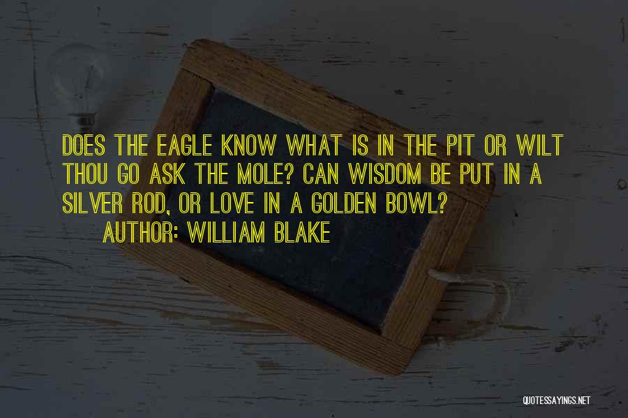 A Mole Quotes By William Blake