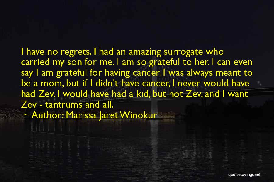 A Mom And Son Quotes By Marissa Jaret Winokur