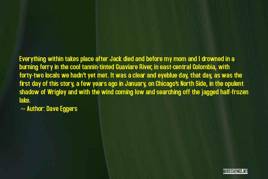 A Mom Who Died Quotes By Dave Eggers