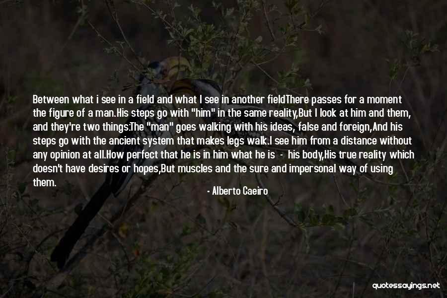 A Moment Of Clarity Quotes By Alberto Caeiro