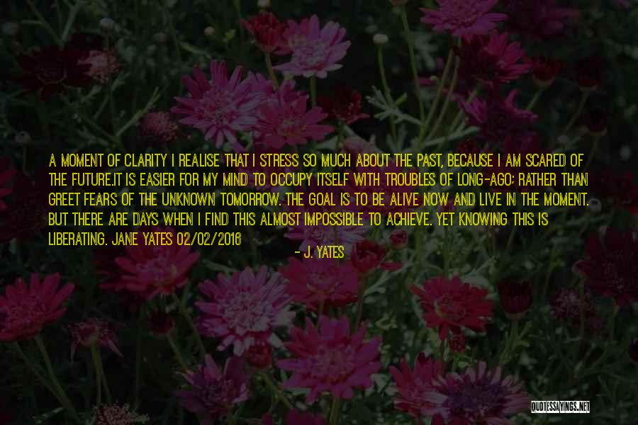 A Moment Of Clarity Quotes By J. Yates