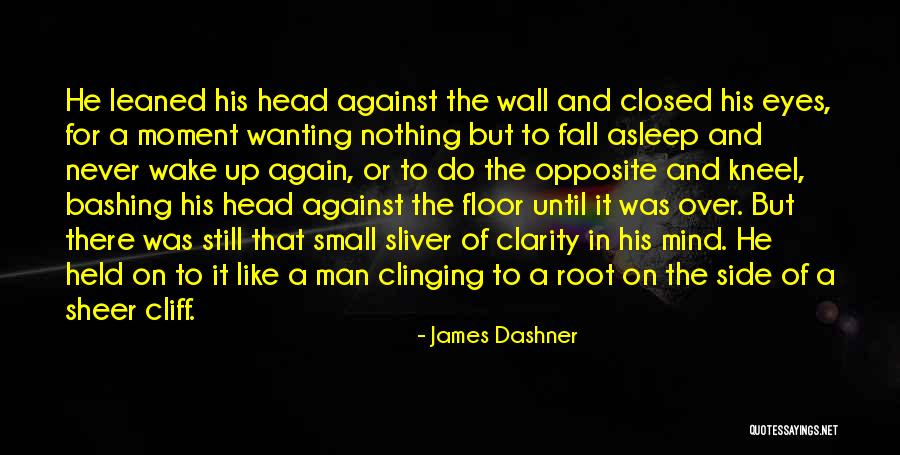 A Moment Of Clarity Quotes By James Dashner