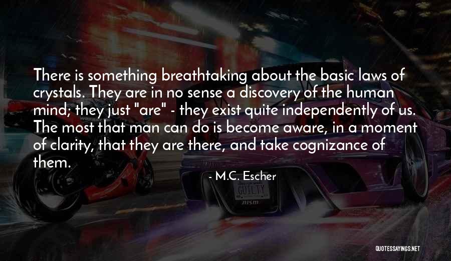 A Moment Of Clarity Quotes By M.C. Escher