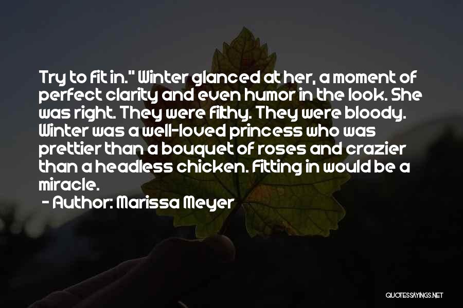 A Moment Of Clarity Quotes By Marissa Meyer