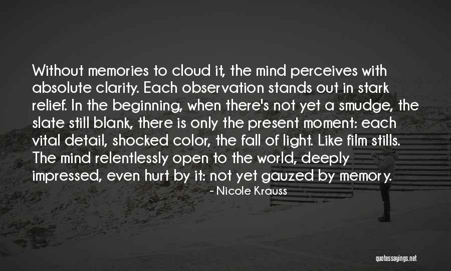 A Moment Of Clarity Quotes By Nicole Krauss