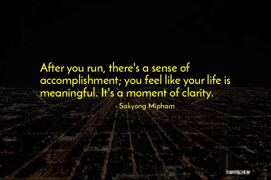 A Moment Of Clarity Quotes By Sakyong Mipham