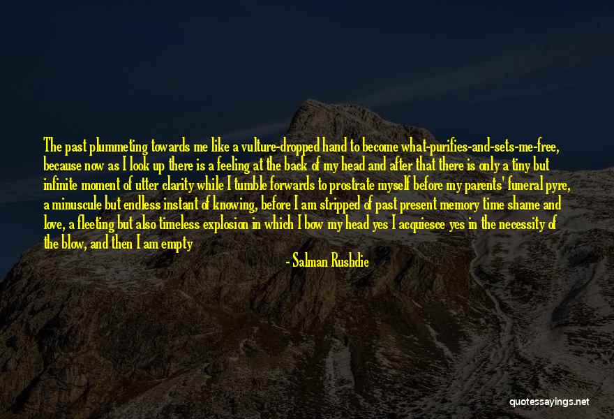 A Moment Of Clarity Quotes By Salman Rushdie