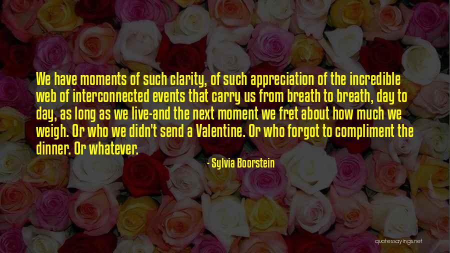 A Moment Of Clarity Quotes By Sylvia Boorstein