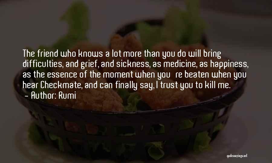 A Moment Of Happiness Quotes By Rumi