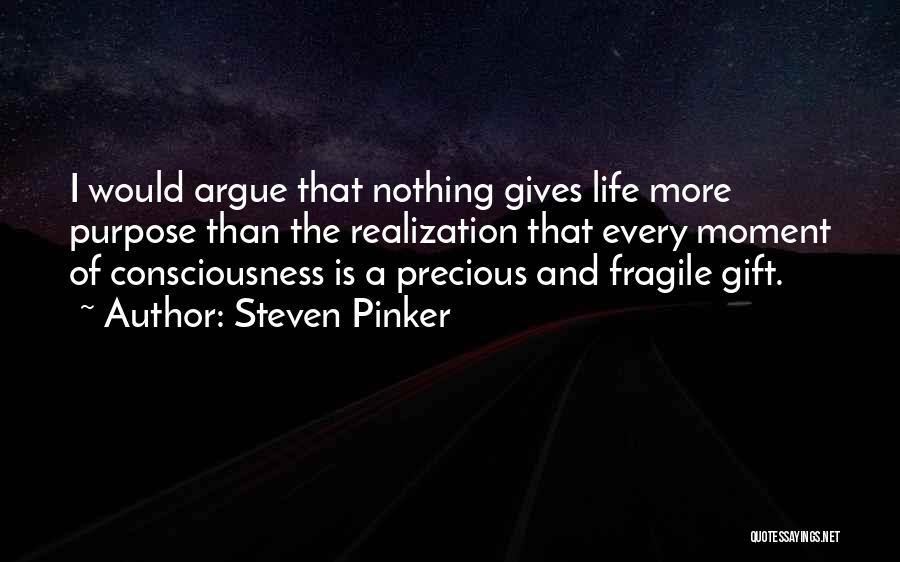 A Moment Of Realization Quotes By Steven Pinker