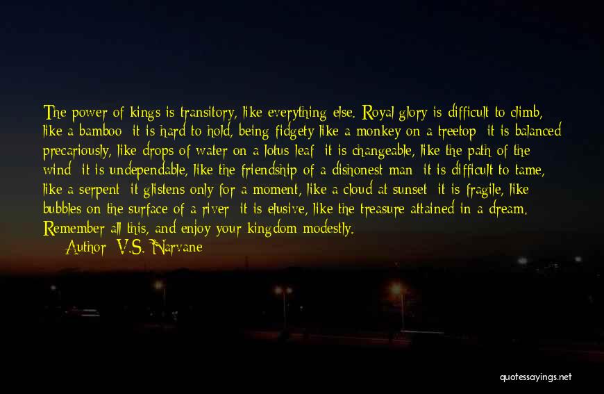 A Moment To Remember Quotes By V.S. Narvane