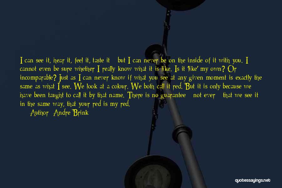 A Moment With You Quotes By Andre Brink