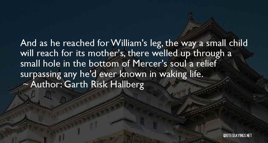 A Mother And Child Quotes By Garth Risk Hallberg