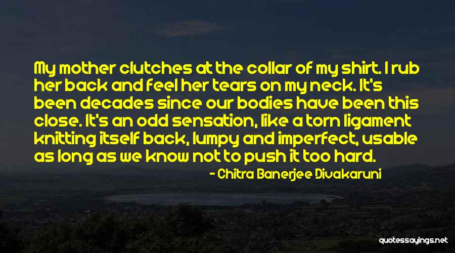 A Mother And Daughters Love Quotes By Chitra Banerjee Divakaruni A Mother And Daughters Love Quotes By Chitra Banerjee Divakaruni
