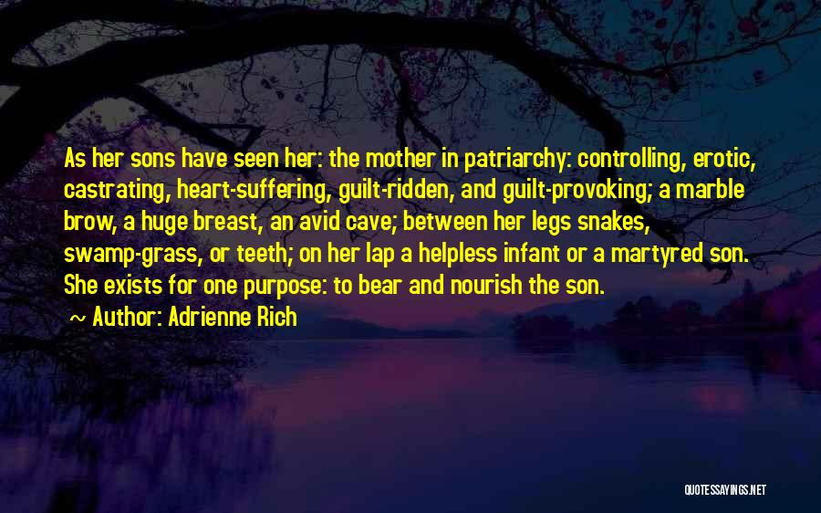 A Mother And Her Son Quotes By Adrienne Rich