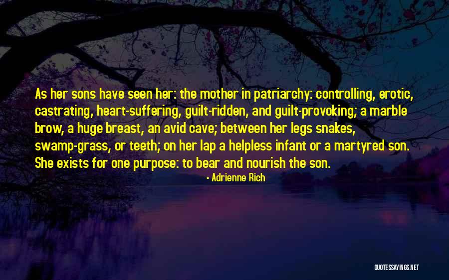 A Mother And Her Son Quotes By Adrienne Rich