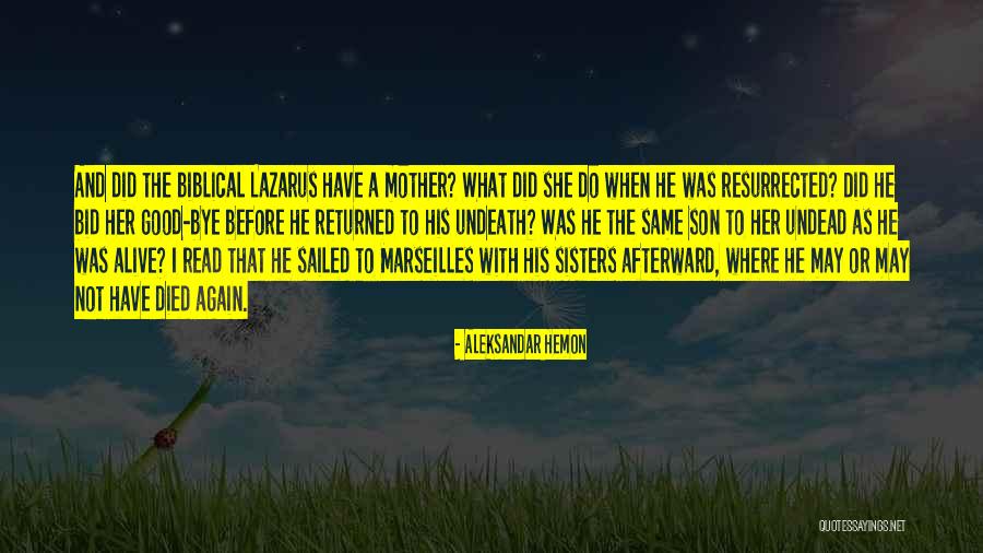 A Mother And Her Son Quotes By Aleksandar Hemon