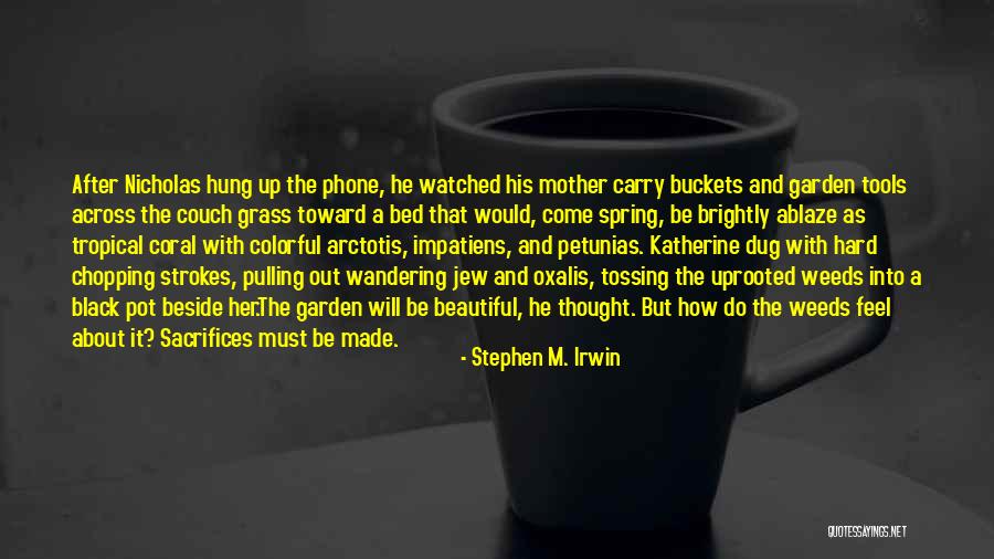 A Mother And Her Son Quotes By Stephen M. Irwin