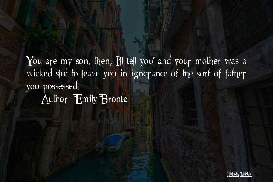 A Mother And Son Quotes By Emily Bronte