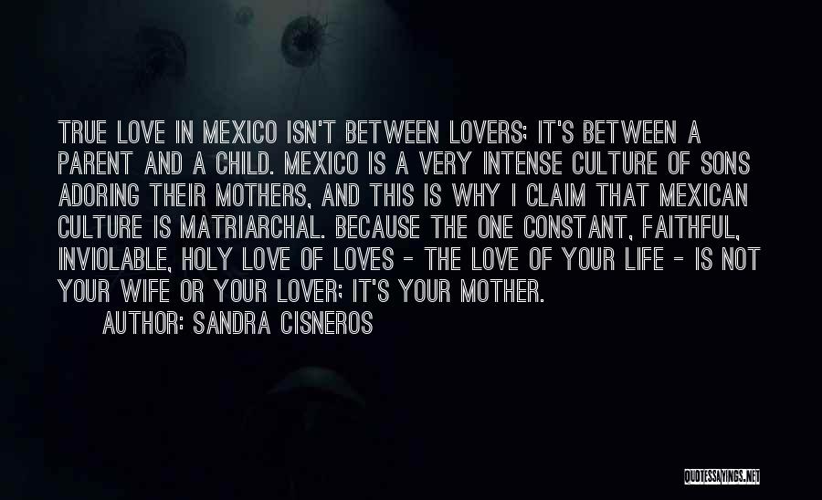 A Mother And Son Quotes By Sandra Cisneros