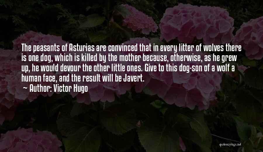 A Mother And Son Quotes By Victor Hugo