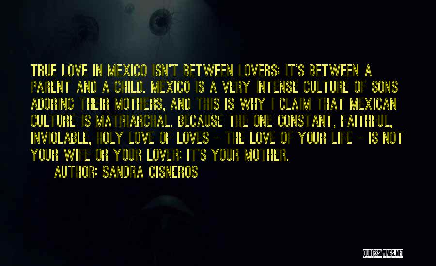 A Mother And Son's Love Quotes By Sandra Cisneros