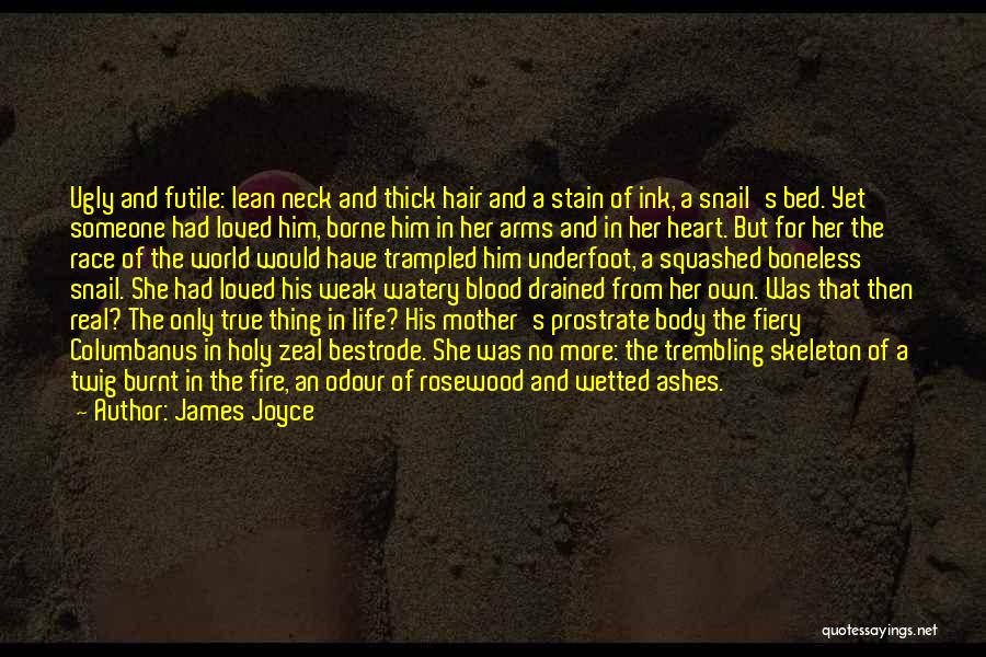 A Mother In Heaven Quotes By James Joyce